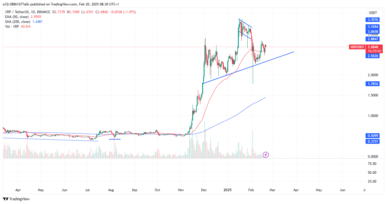 XRP price in the long term | Source: TradingView