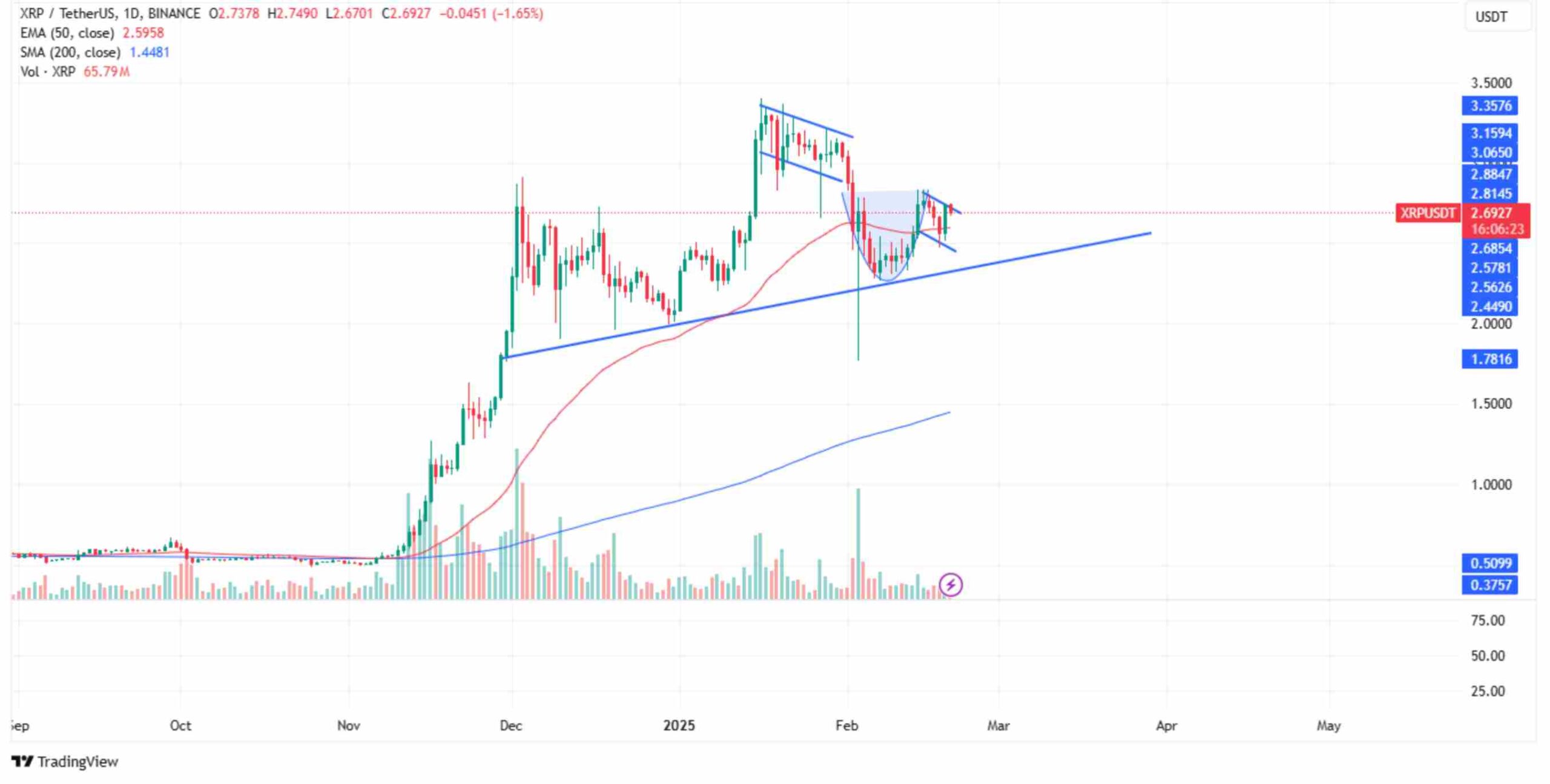 XRP’s 50-day SMA | Source: TradingView