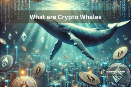 What are Crypto Whales