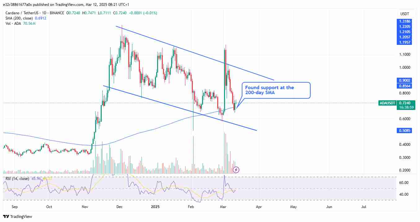 Cardano finding support | Source: TradingView