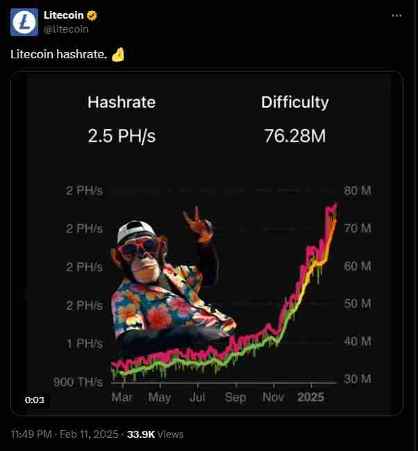 The Litecoin hashrate | Source: TradingView