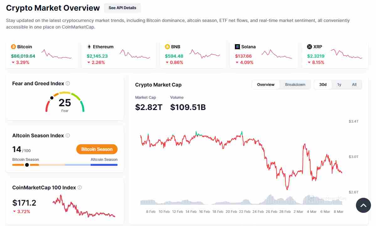 The crypto market’s overviews | Source: CoinMarketCap