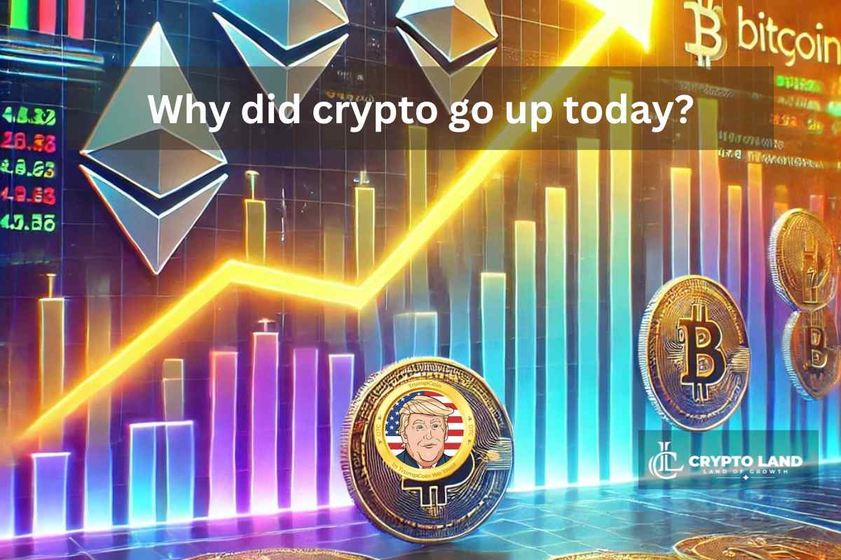 Why did crypto go up today