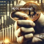 hodl meaning, crypto